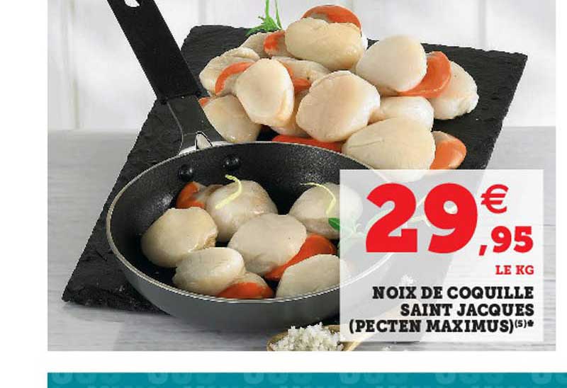 noix de coquille saint jacques (pecten maximus)