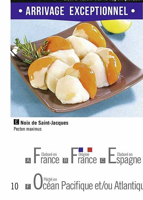 noix de saint-jacques