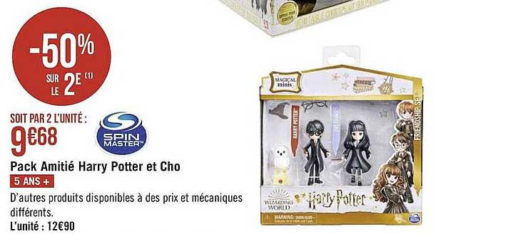 pack amitié harry ptter et cho spin master
