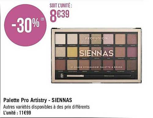 Palette Pro Astistry - Siennas