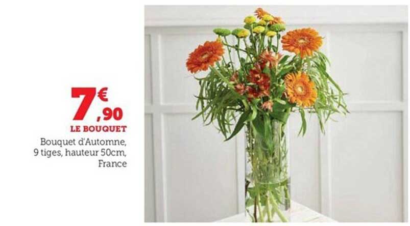 bouquet d'automne, 9 tiges, hauteur 50cm france