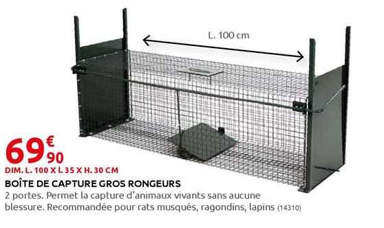 boîte de capture gros rongeurs