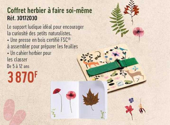 coffret  herbier à faire soi-même
