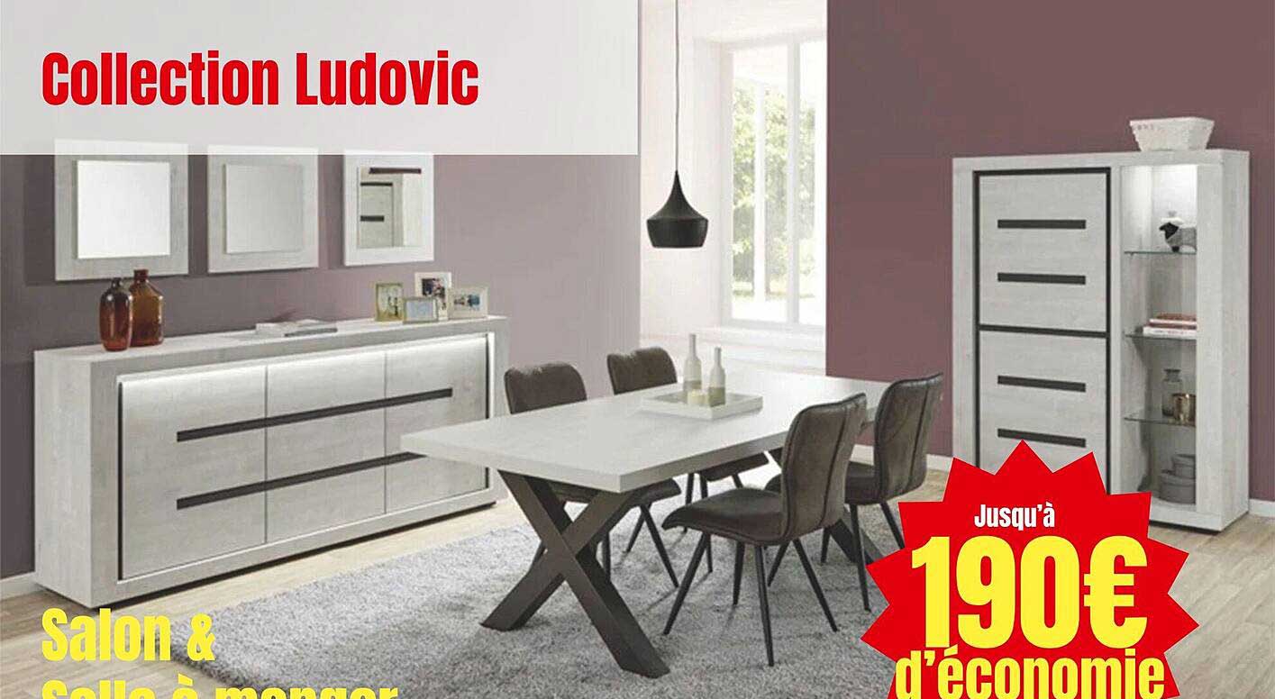 collection ludovic