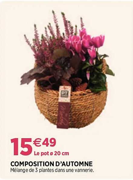 composition d'automne