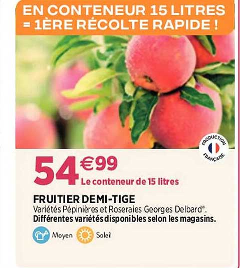fruitier demi-tige