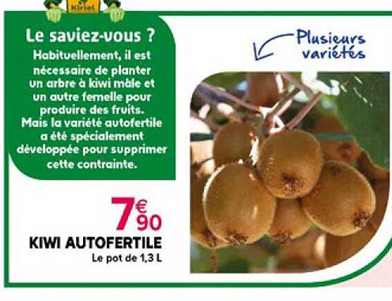 kiwi autofertile