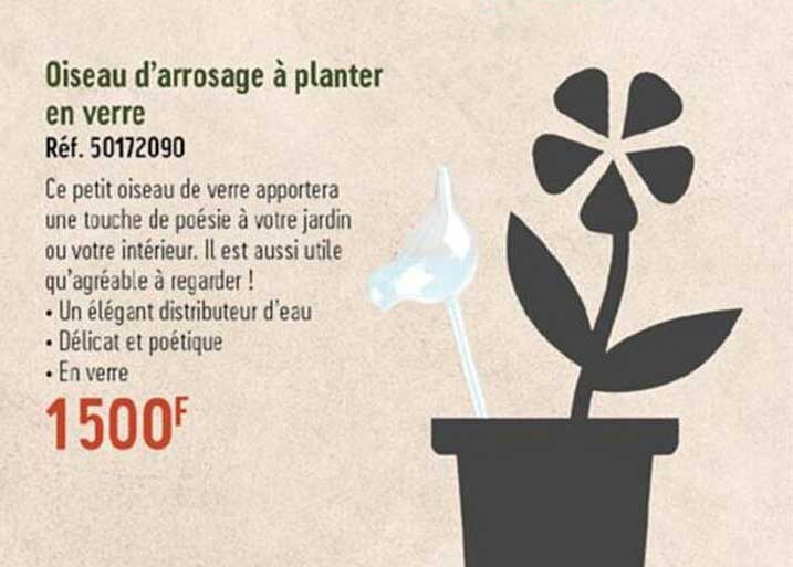 oiseau d'arrosage à planter en verre