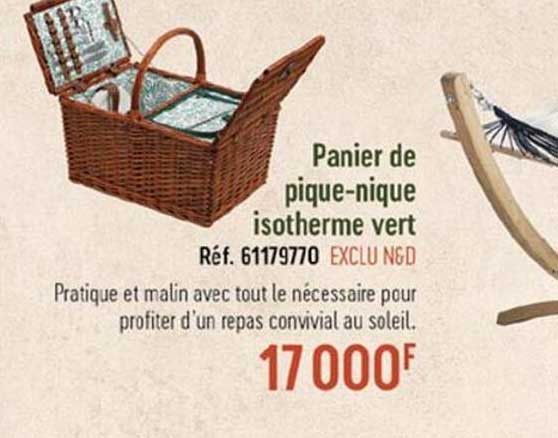 panier de pique-nique isotherme vert
