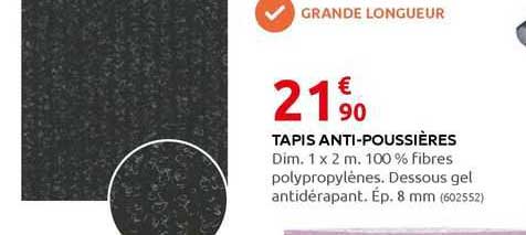 tapis anti-poussières