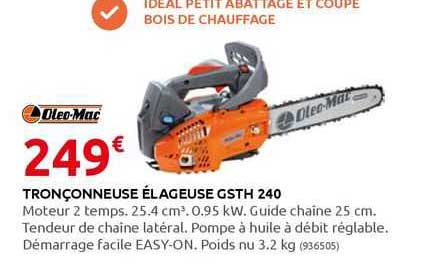 tronçonneuse élageuse gsth 240