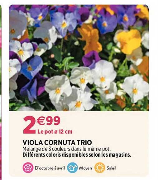 Viola Cornuta Trio