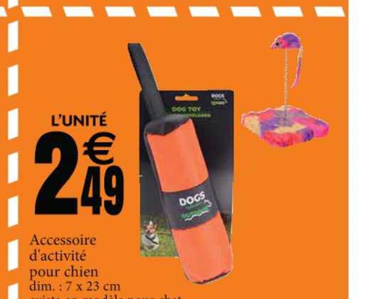 accessoire d'activité pour chien dogs