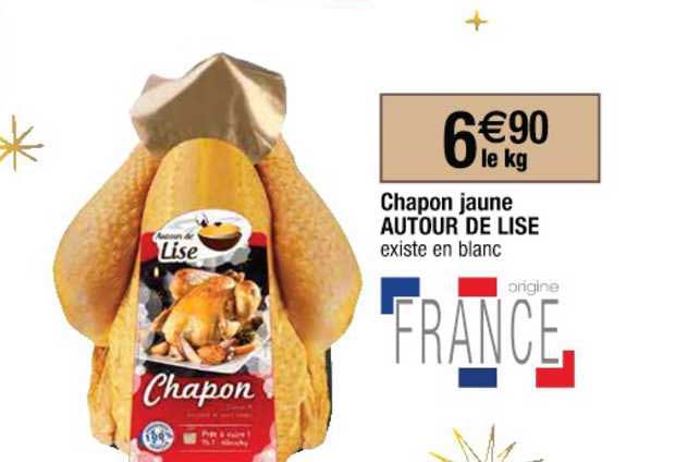 chapon jaune autour de lise