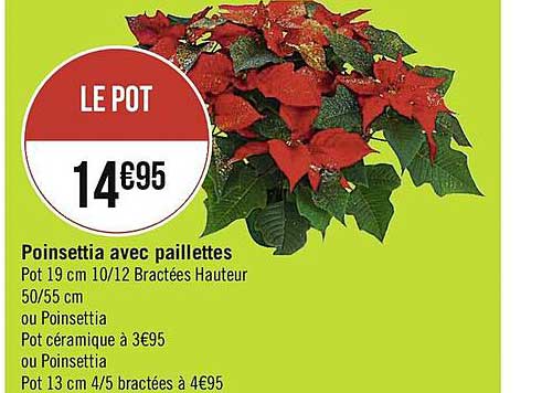 poinsettia avec paillettes