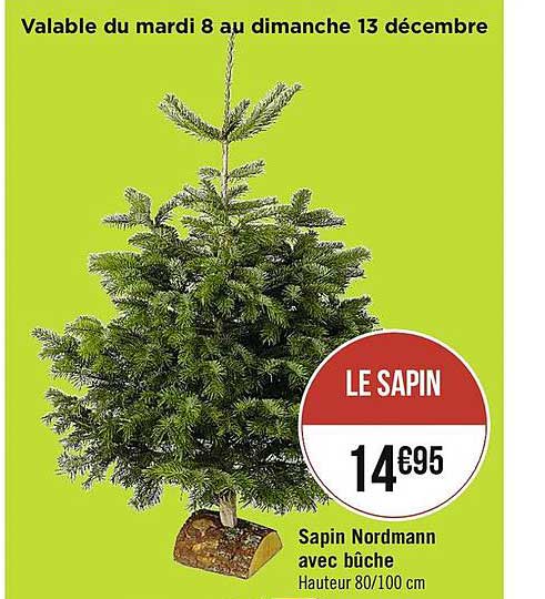sapin nordmann avec bûche