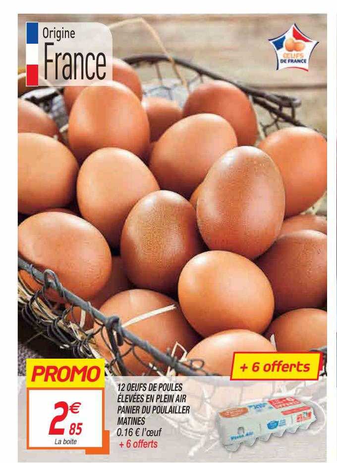 12  oeufs de poules élevées en plein air panier du poulailler matines