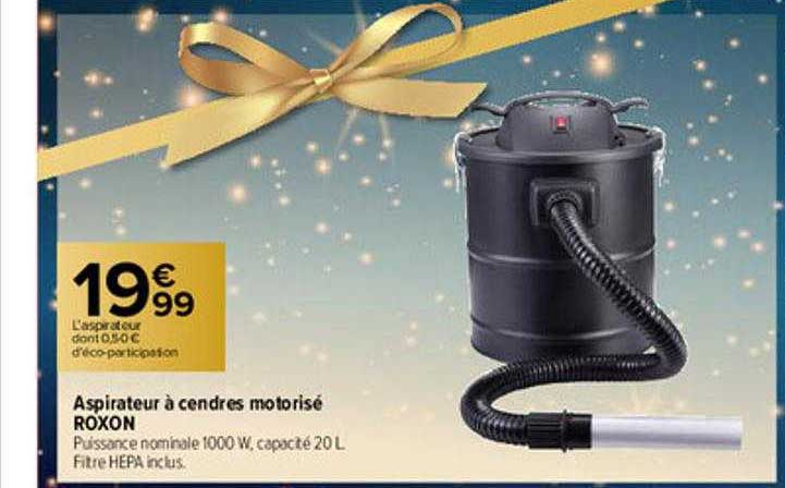 aspirateur à cendres motorisé roxon