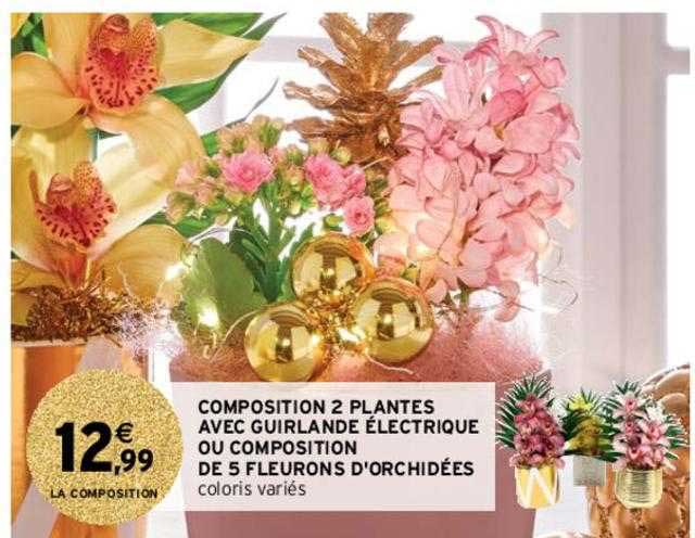 Composition 2 Plantes Avec Guirlande électrique Ou Composition De 5 Fleurons D'orchidées