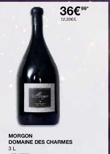 Morgon Domaine Des Charmes