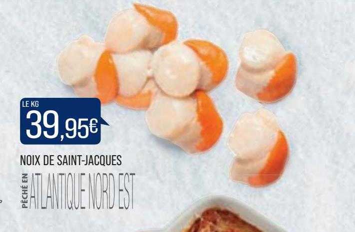 noix de saint-jacques