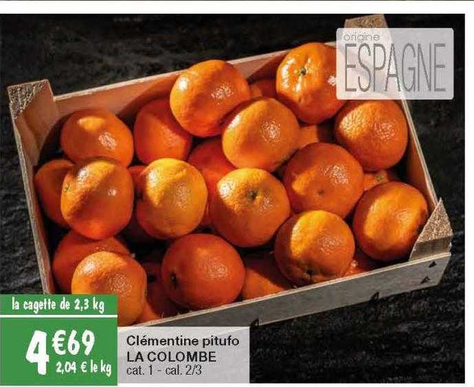 clémentine pitufo la colombe