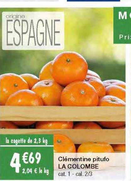 clémentine pitufo la colombe