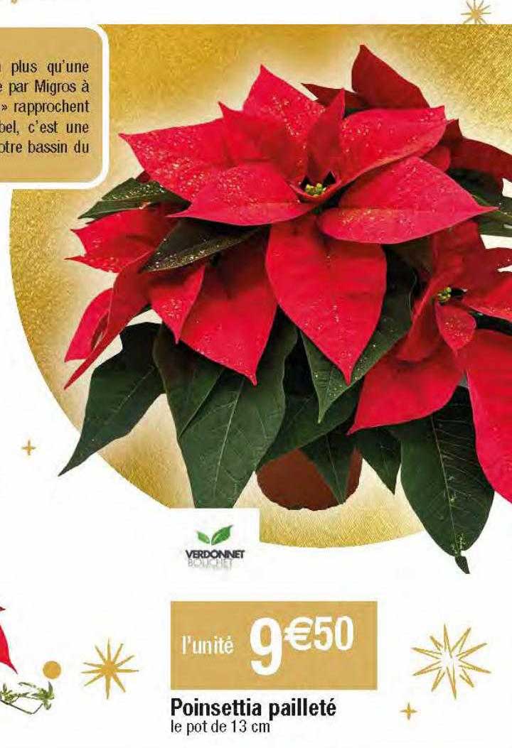 poinsettia pailleté
