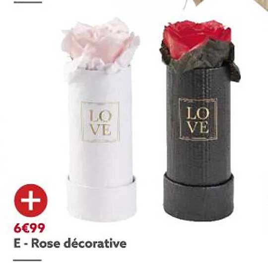 rose décorative