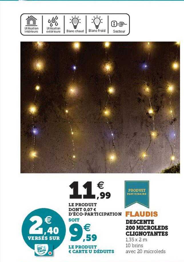 descente 200 microleds clignotantes flaudis