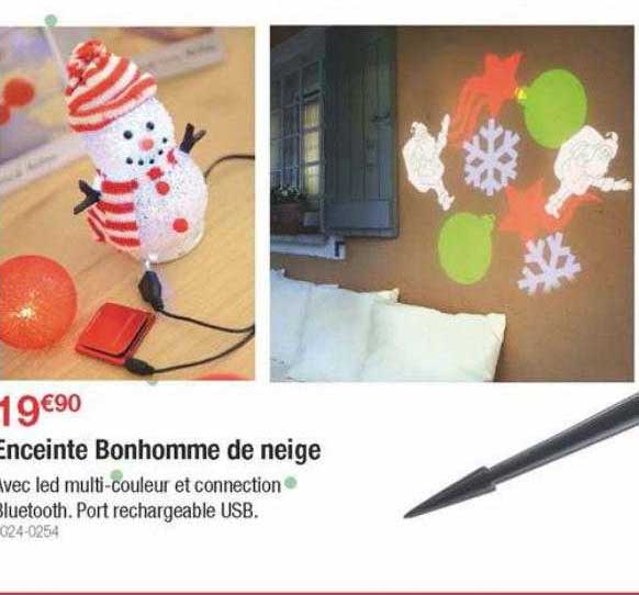 enceinte bonhomme de neige