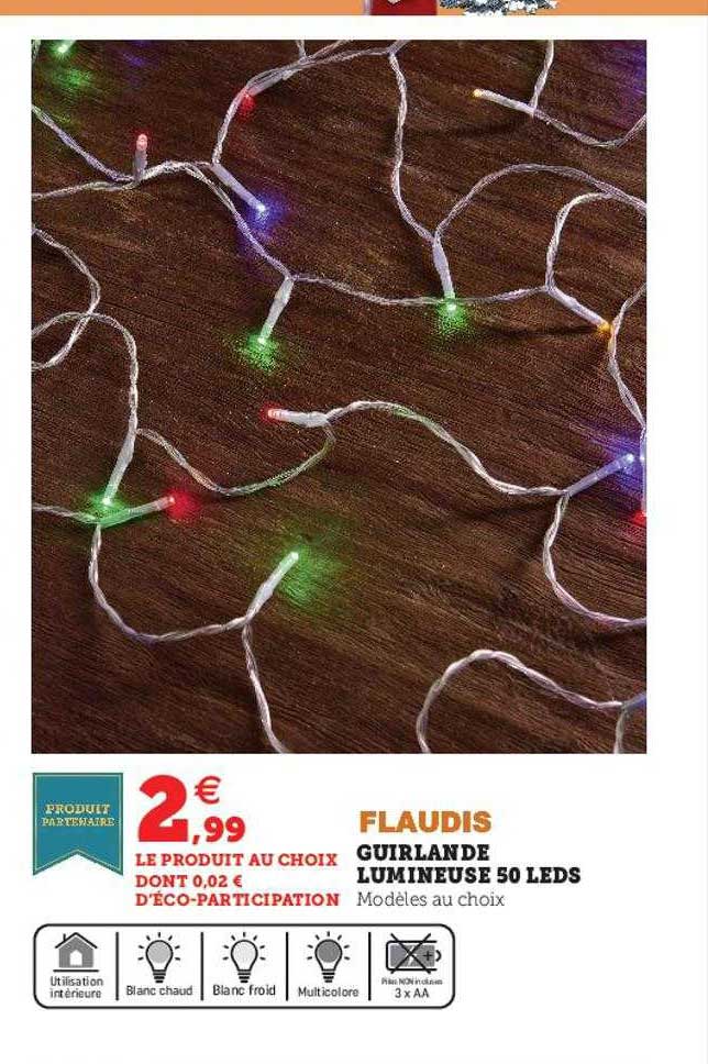 guirlande lumineuse 50 leds flaudis