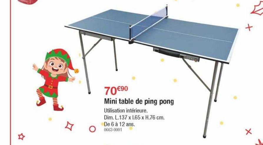 mini table de ping pong