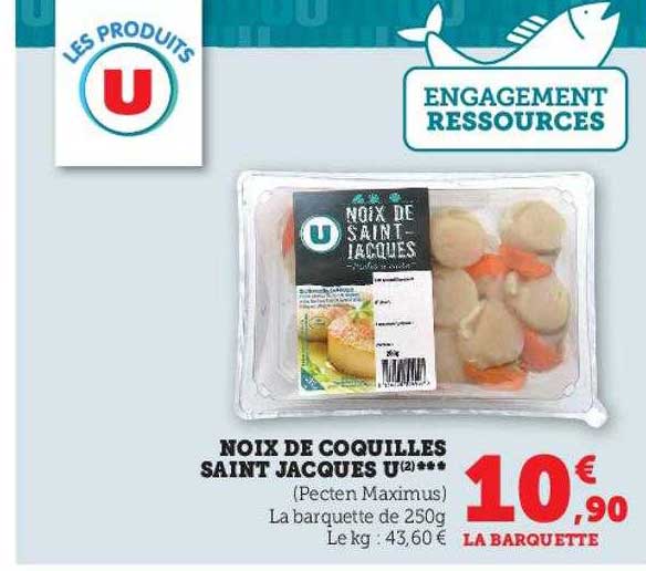 Noix De Coquilles Saint Jacques U