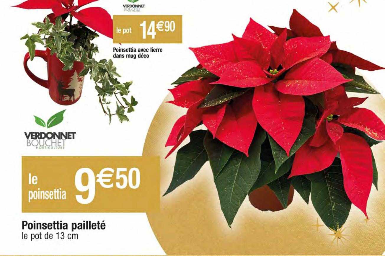 poinsettia avec lierre dans mug déco, poinsettia pailleté