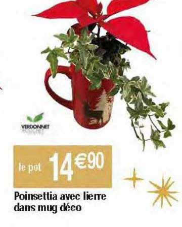 poinsettia avec lierre dans mug déco