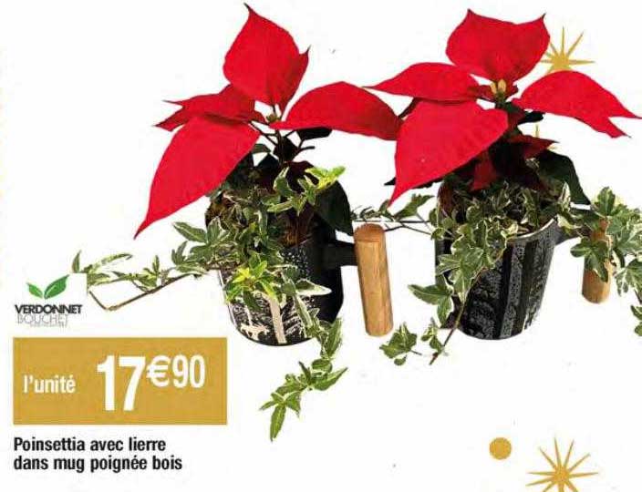 poinsettia avec lierre dans mug poignée bois