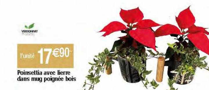 poinsettia avec lierre dans mug poignée bois