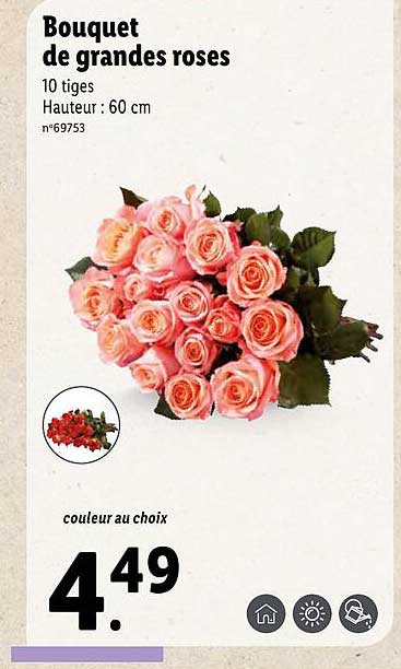 bouquet de grandes roses