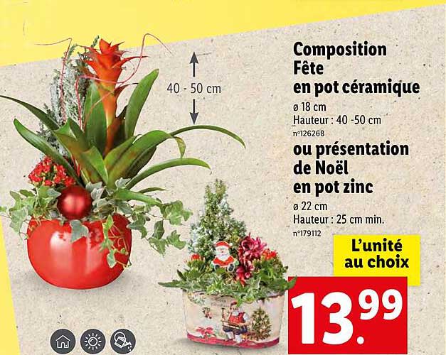 Composition Fête En Pot Céramique Ou Présentation De Noël En Pot Zinc
