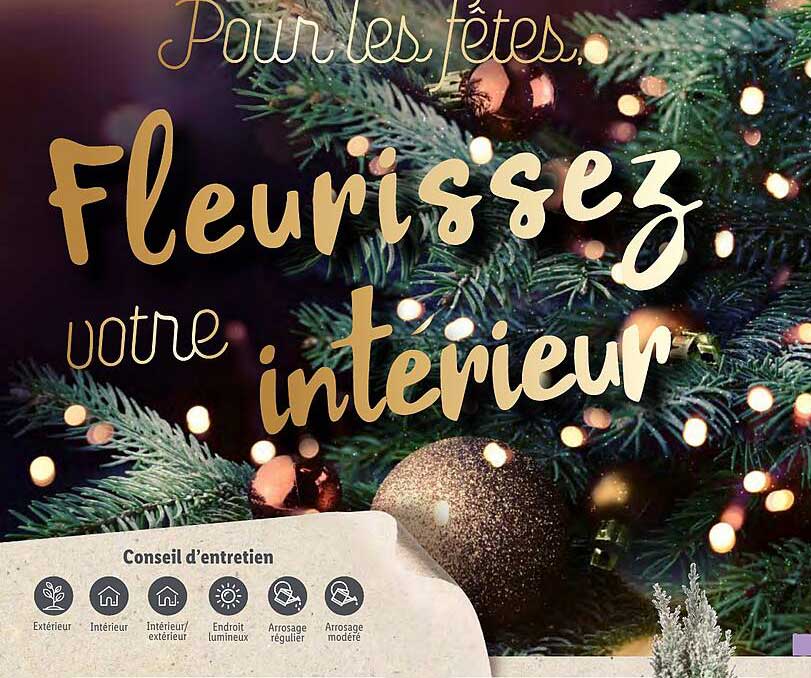 fleurissez votre intérieur