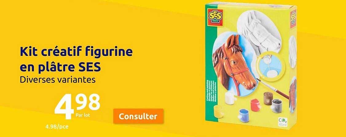 kit créatif figurine en plâtre ses