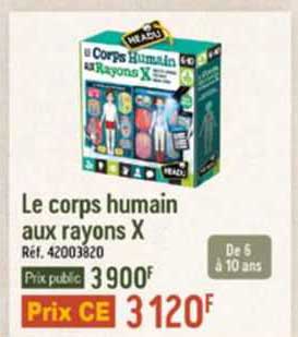 le corps humain aux rayons x