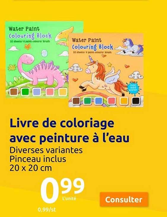 livre de coloriage avec peinture à l'eau