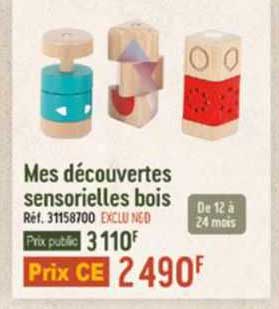 mes découvertes sensorielles bois