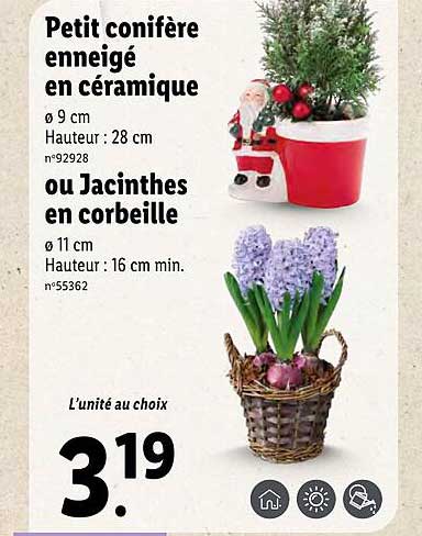 petit conifère enneigé en céramique ou jacinthes en corbeille