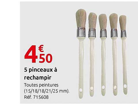 5 Pinceaux à Rechampir