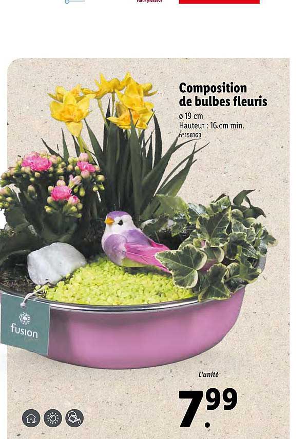 composition de bulbes fleuris