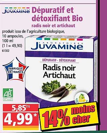 dépuratif et détoxifiant bio radis noir et artichaut juvamine
