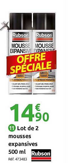 lot de 2 mousses expansives 500 ml rubson